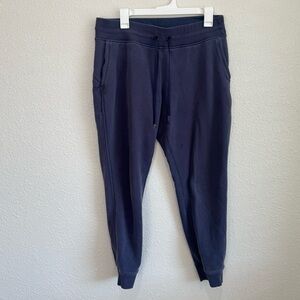 Lululemon Womens Grey Purple Jogger Sweatpant Casual Loungewear Athleisure Gym